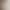Seamless Frontline Garments Pile Collar Tight Wool Base Shirt Women's Autumn and Winter New Style All-match Turtleneck Sweater for Women