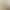 2026 New Artificial Monet Rose Vine Flower Strip Ceiling Pipe Cover Scenic Spot Popular Check-In Decoration