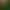 Amazon Solar Garden Landscape Cactus Neon Light Led Light Lawn Ground Plug Light Solar Panel Outdoor