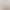Beautiful Lace Camisole for Women, Autumn and Winter Fur-Lined Base Layer, Integrated Bra with Chest Pads