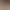 Women's Trench Coat 2026 Spring and Autumn New Style, Trendy Khaki Color, Petite Mid-Length, High-End Feel, Super Stylish Women's Trench Coat 2026 Spring and Autumn New Style, Trendy Khaki Color, Petite Mid-Length, High-End Feel, Super Stylish