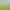 Ultra-Light Outdoor Elevated Folding Backrest Chair Moon Chair Camping Folding Stool Butterfly Chair Lightweight Camping Folding Chair