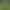 In-Stock Korean Women's Clothing Korean Niche New Lace-Up Short Shirt + Army Green Cargo Pants In-Stock Korean Women's Clothing Korean Niche New Lace-Up Short Shirt + Army Green Cargo Pants