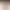 Genuine Leather Pants Women's Early Autumn 2022 New High Waist Slimming Five-point Straight Leather Shorts Sheepskin Mid-length Pants Trendy