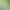【Milk Tea Shop】Bamboo Fragrance Oolong Tea 500g, Same Type as Store Version, Bamboo Fragrance Tieguanyin Commercial Tea Base, Southern Fujian Oolong