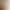 2025 Autumn and Winter Half Turtleneck Pullover Seven-Stitch Soft Waxy Large Cable Wool Sweater Women's Pure Color Knitted Wool Bottoming Sweater