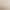 Screen Partition for Living Room, No-Drill Ceiling-To-Floor Bed Curtain, Bedroom Beauty Salon Divider Bed Curtain