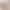 Shorts Women's Summer Slim-fit Loose Four-point All-match White High-waist 2025 New Korean Style Summer Casual Pants