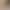 Nude-Colored High-Heeled Shoes for Women with Chunky Heels 5cm 7cm - Stylish and Sexy Work Shoes for Wide Feet That Are Comfortable and Won'T Tire Your Feet