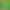 No Need for Pea Seedlings, Sugar Snap Peas, Pea Tips Seeds, Sprout Seeds, Original Four-Season Vegetable Seeds Collection No Need for Pea Seedlings, Sugar Snap Peas, Pea Tips Seeds, Sprout Seeds, Original Four-Season Vegetable Seeds Collection