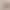 Tingmei Dandelion Warm-Sensitive Antibacterial】Small Breast Gathering Bra for Women, Anti-Sagging, Adjustable Lift-Up Bra Tingmei Dandelion Warm-Sensitive Antibacterial】Small Breast Gathering Bra for Women, Anti-Sagging, Adjustable Lift-Up Bra