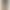 Khaki Flared Jeans for Women, Autumn and Winter, Fleece-Lined, 2025, High-Waisted, Slimming, Petite, Bell-Bottom, Floor-Length