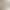 Light-Colored Rhinestone Embellished Low-Waist Flared Jeans for Petite Women, Exclusive High-Waisted Flared Pants for Petite Women
