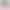 2026 Spring and Autumn New Slimming Tummy Control Barbie Pants for Outdoor Wear, Waist and Tummy Control, Butt Lifting, Black Long Leggings, Sports Yoga Pants