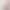 Skims Same Style Fits Everybody Panty Low-Waist Breathable Lace Rose Hip-Covering High-Elastic Underwear