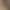 Early Autumn and Winter 2025 New Casual Shorts for Women, Wide-Leg Popular Style, Black, High-Waisted, Suitable for Petite Figures, Spring and Summer