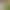 Real Shot of Spring and Summer Private Comfort Line: Tencel Knit Camisole with Built-In Bra Pads and Slim-Fit Straight-Leg Casual Pants Set for Women