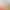 New 4-leaf flat light square light beauty makeup live photography equipment Video Lighting square flat light Wholesale