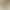 2026 Summer New Gold Cross-Strap Square-Toe Sandals for Women with Ankle Buckle and Chunky High Heels