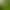 Moss Micro-Landscape Creative Simple Artificial Small Mushroom DIY Succulent Gardening Decoration Accessories Small Ornaments
