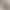 Gray Skirt for Women Early Autumn 2025 New High-Waisted Draped Back Slit Hip-Covering Skirt Slimming Look Mid-Length A-Line Skirt Gray Skirt for Women Early Autumn 2025 New High-Waisted Draped Back Slit Hip-Covering Skirt Slimming Look Mid-Length A-Line Skirt