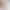 [Retractable Rainbow Shell] DIY Handmade Cat Teaser Stick (17-28cm) Specifically for Live Streaming, Competitions, and Photography