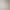 Suit Shorts for Women's Outer Wear 2025 Spring and Summer Korean Style High-Waist Slimming Look A-Line Workwear Casual Wide-Leg Curled Shorts