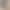 2026 Summer New Style Maternity Wide-Leg Pants Shorts with Wavy Edges Solid Color Modal Large Size 100kg