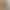Black Minimalist Style Short-Sleeve Waist-Cinching Women's Summer 2026 Square-Neck A-Line Short Dress with a High-End Feel for Petite Figures
