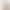Seamless Extra-Large Women's Panties, Individually Packaged, Large Size, High Elasticity, Breathable, High-Waisted, Wholesale