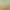 Rabbit Molar Grass Stick 25/Box Totoro Guinea Pig Timothy Grass Stick Alfalfa Grass Pet Feed Hay Rabbit Molar Grass Stick 25/Box Totoro Guinea Pig Timothy Grass Stick Alfalfa Grass Pet Feed Hay
