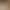 First-Layer Cowhide 2025 Spring and Autum New White Shoes for Women Genuine Leather Versatile Soft-Soled Casual Sports Thick-Soled Sneakers for Women First-Layer Cowhide 2025 Spring and Autum New White Shoes for Women Genuine Leather Versatile Soft-Soled Casual Sports Thick-Soled Sneakers for Women