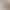 Boss's Personal Collection! New Sexy Lace Layered Camisole with Chest Pads, Pure Desire Tank Top for Women Boss's Personal Collection! New Sexy Lace Layered Camisole with Chest Pads, Pure Desire Tank Top for Women