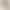 Rovo Spring, Autumn, and Winter Maternity Shark Pants Barbie Pants Fitness Yoga Pants Brushed Fleece Thickened Sports Shapewear Pants for Women Rovo Spring, Autumn, and Winter Maternity Shark Pants Barbie Pants Fitness Yoga Pants Brushed Fleece Thickened Sports Shapewear Pants for Women