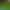Cross-Border Simulated Moss Turf, Artificial Fake Moss for Micro-Landscape Arrangement, Decorative Items, Lawn, Bonsai, and Plant Coverings Cross-Border Simulated Moss Turf, Artificial Fake Moss for Micro-Landscape Arrangement, Decorative Items, Lawn, Bonsai, and Plant Coverings
