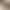 Minimalist Color Scheme! Suede Square-Toe Single-Strap Kitten Heel Sandals for Women, Summer 2026 New Style, Commuter Thin-Heeled Sandals Minimalist Color Scheme! Suede Square-Toe Single-Strap Kitten Heel Sandals for Women, Summer 2026 New Style, Commuter Thin-Heeled Sandals