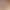 French-Style Nail Art Dried Flower Decorations, Popular Colorful Japanese-Style Small Floral Fragments, Whole Five-Petal Flowers, DIY Dried Flower Nail Art Decorations