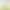 Women's high-waisted loose-fitting anti-see-through nude-colored anti-exposure ultra-thin seamless wide-leg shorts, ice silk three-quarter safety pants