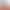 Set of Medium-Sized Universal Casters 2.5inch 3inch 4inch 5inch for Industrial Trolleys and Shelves, with Brake Wheels
