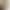 Summer New Style Women's Cloud Cotton Sweet Striped Korean-Style Fresh and Simple Camisole Loungewear Factory Custom-Made