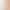 Cross-Border Popular Instagram-Style Heart-Shaped Digital Panda Smiley Cat Paw Finger Small Image Disposable Temporary Tattoo Stickers
