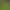 DIY micro landscape garden ornaments mini fairy tale landscaping props dwarf dwarf tree essence mushroom crafts wholesale