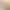 [Cross-Border] Full-Size Bedroom Lamp with Ancient-Style Floral Design, Aesthetic Study Room Ceiling Light, Song-Style Eye-Protection Spectrum Lamp