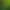 Cross-Border New Product Micro Landscape Creative Luminous Little Frog Toad DIY Landscaping Decoration Accessories Small Ornaments