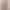 Amazon Autumn New 2024 Round Neck Pullover Long Sleeve Mesh Printing Navel European and American Top T-shirt Women's in stock Amazon Autumn New 2024 Round Neck Pullover Long Sleeve Mesh Printing Navel European and American Top T-shirt Women's in stock
