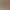 In-Stock Special Tail Thai Fighting Fish Wholesale, Half-Moon Mixed Color Lion King, Horse Tail, General Type, Large Size for Display In-Stock Special Tail Thai Fighting Fish Wholesale, Half-Moon Mixed Color Lion King, Horse Tail, General Type, Large Size for Display