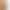 [Clearance, No Returns/Exchanges] 100% Merino Wool Elegant Swan Base Layer Slim Fit Long Sleeve Top for Women