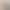 Handmade Nails, Golden Light Brown Milk Tea Style, French Short Style, Atmospheric Nails, High-End, Simple and Whitening Manicure