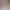 2026 New Nude Color Patchwork Thick-Soled Height-Increasing White Sneakers for Women, Lace-Up Versatile Soft-Soled Comfortable Casual Sports Sneakers 2026 New Nude Color Patchwork Thick-Soled Height-Increasing White Sneakers for Women, Lace-Up Versatile Soft-Soled Comfortable Casual Sports Sneakers