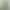 Avocado Green Gauze Fabric Mesh for Wedding Decoration and Scene Setup, Kindergarten Environment Creation, DIY Fabric